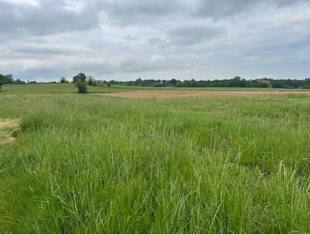 Terrain à bâtir de 1 715 m2 - photo 2