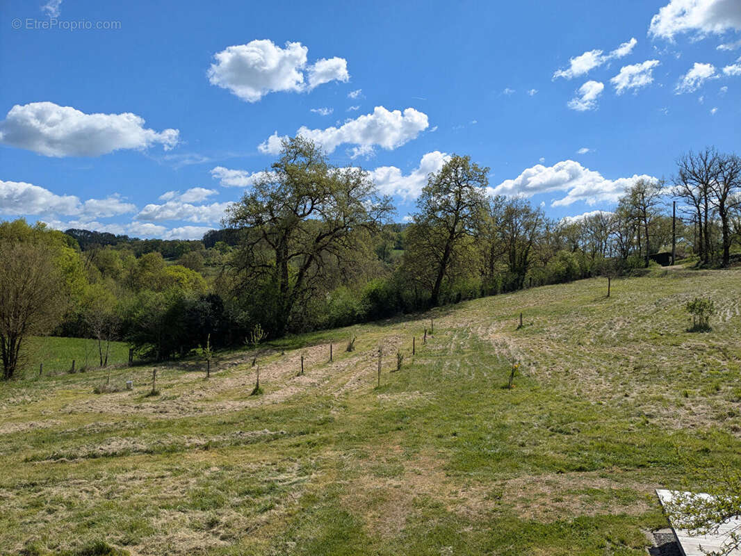 Maison en bois bioclimatique sur grand terrain - photo 13