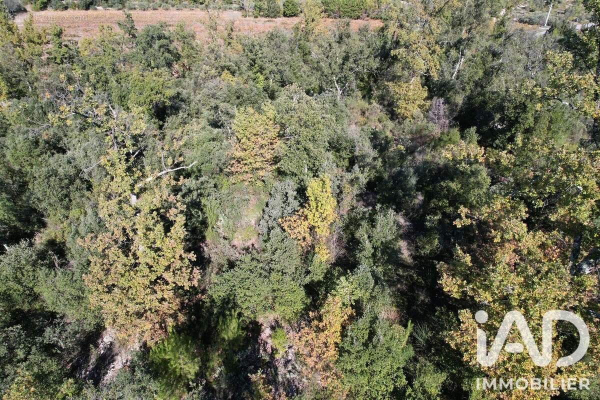 Terrain 13030 m² à Lorgues  - photo 4