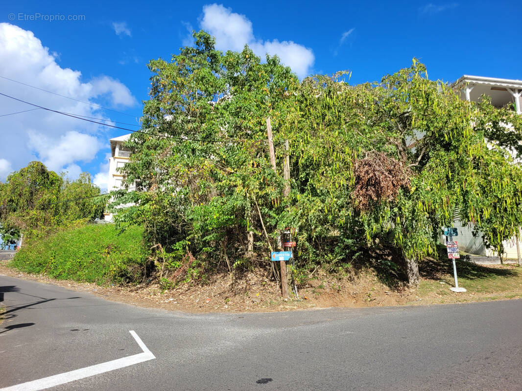 Terrain à LES ABYMES