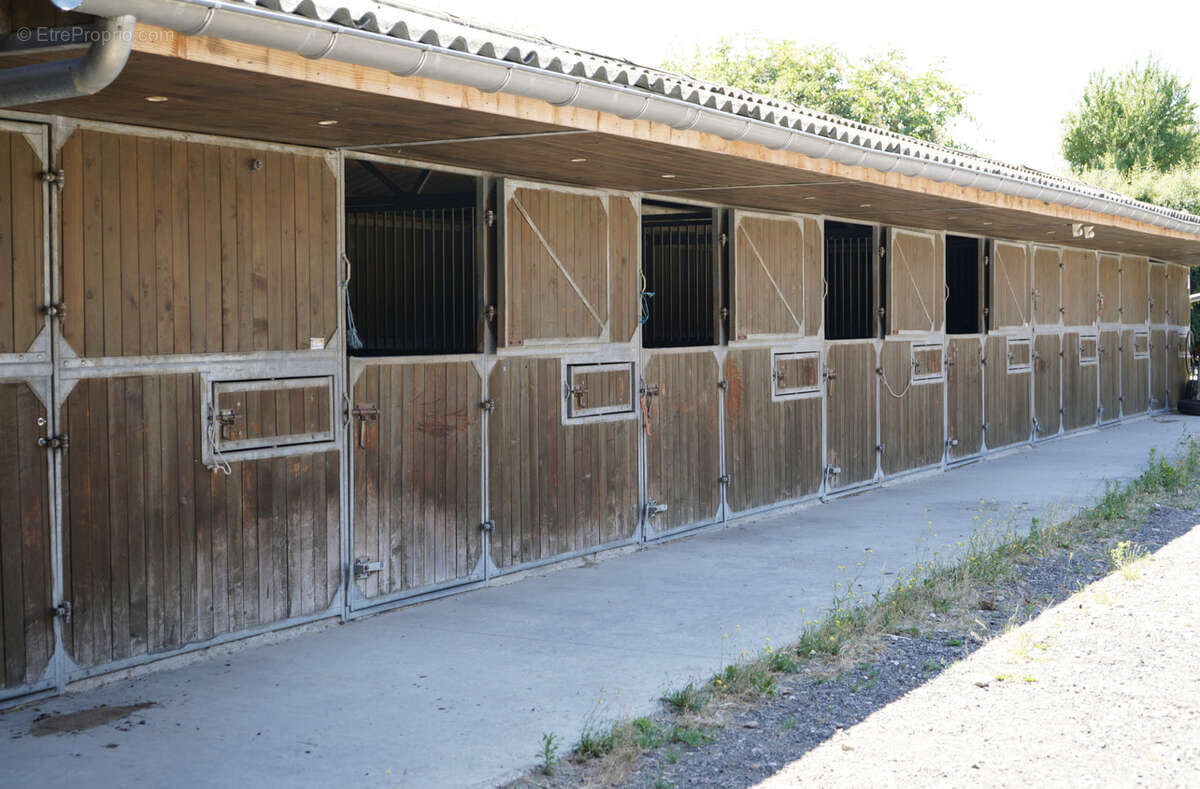 Haras du mas de meyrie - photo 12