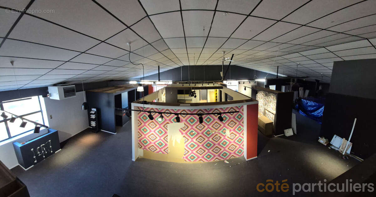 Commerce à LUC-LA-PRIMAUBE