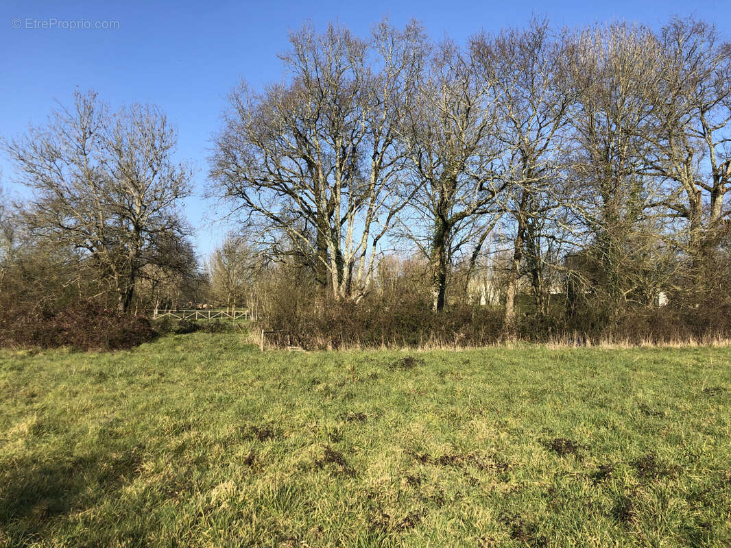 Terrain à LA ROCHE-SUR-YON