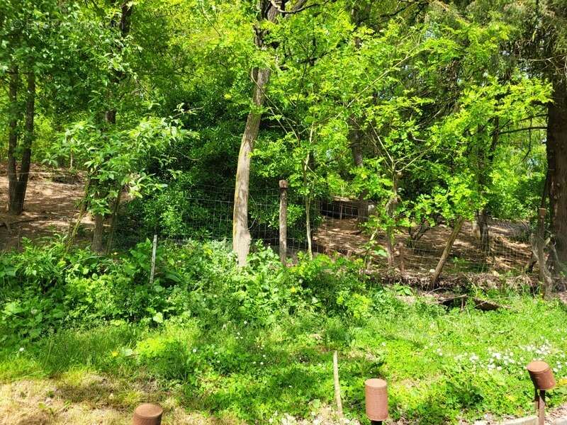 Maison à SAINT-LOUP-LAMAIRE