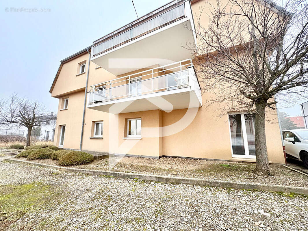 Appartement à ENSISHEIM