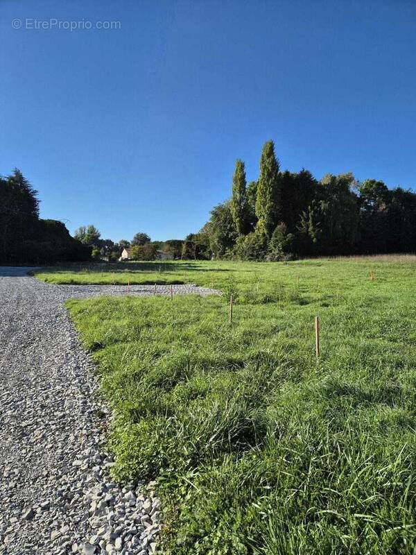 Terrain à CRECY-LA-CHAPELLE