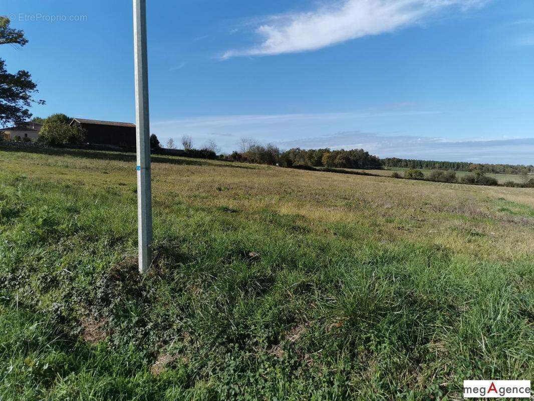 Terrain de 4817 m² constructible vue panoramique - photo 11
