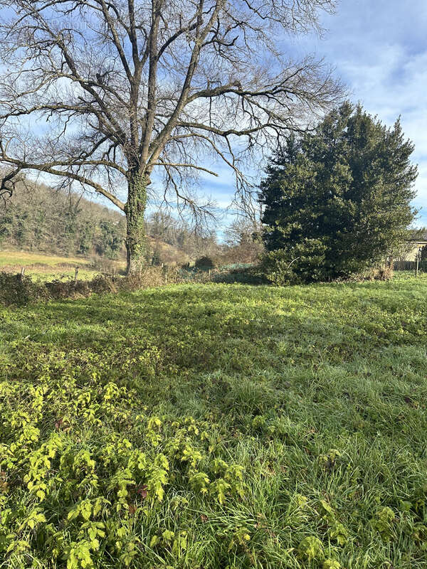 Terrain à LIVINHAC-LE-HAUT