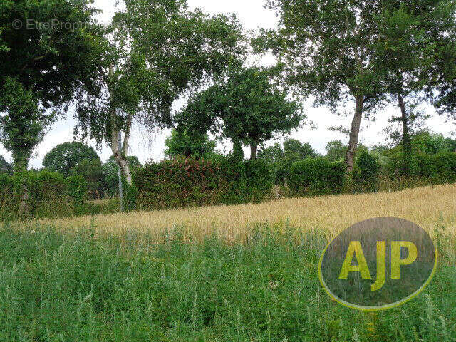 Terrain à PLUMELEC