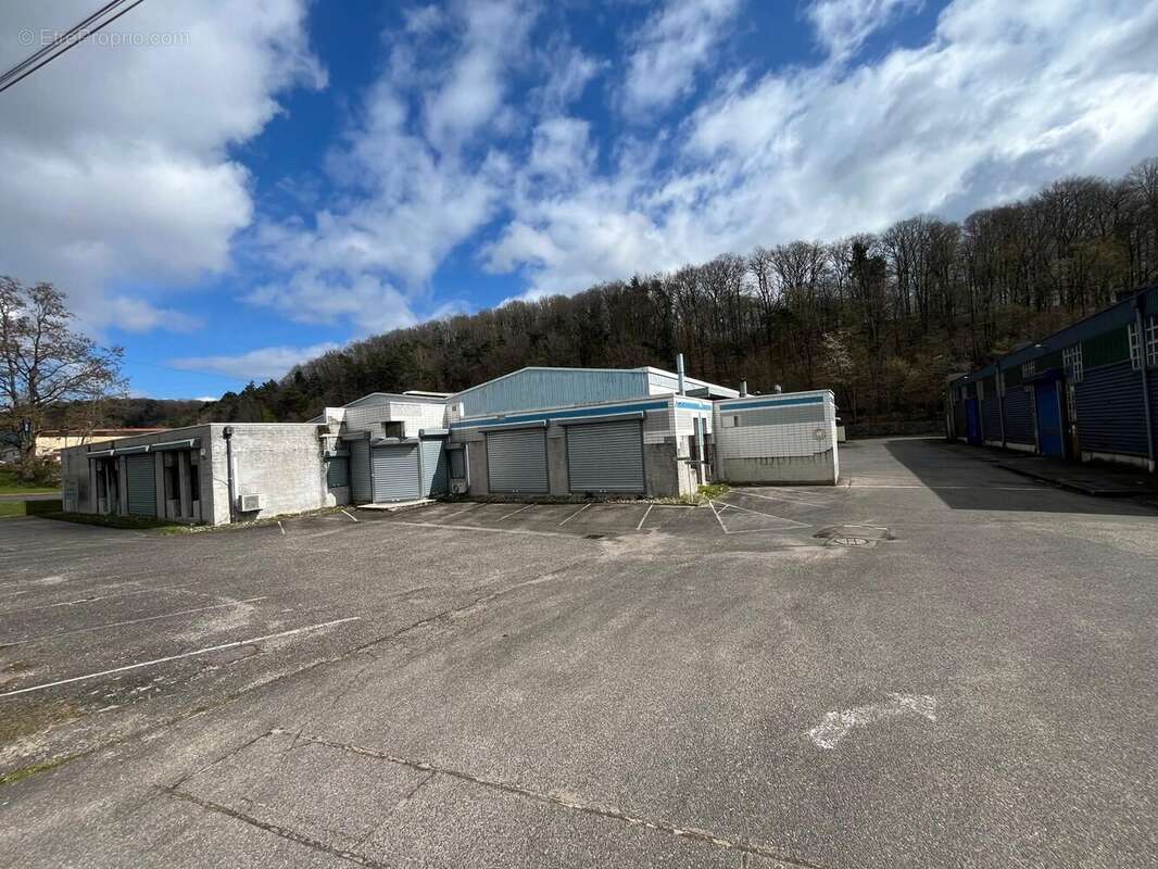 Commerce à SAINT-AVOLD