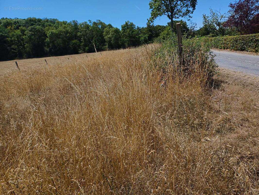 Terrain à BRETEUIL