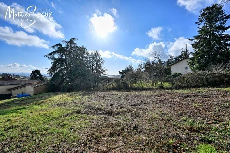Terrain à POLLIONNAY
