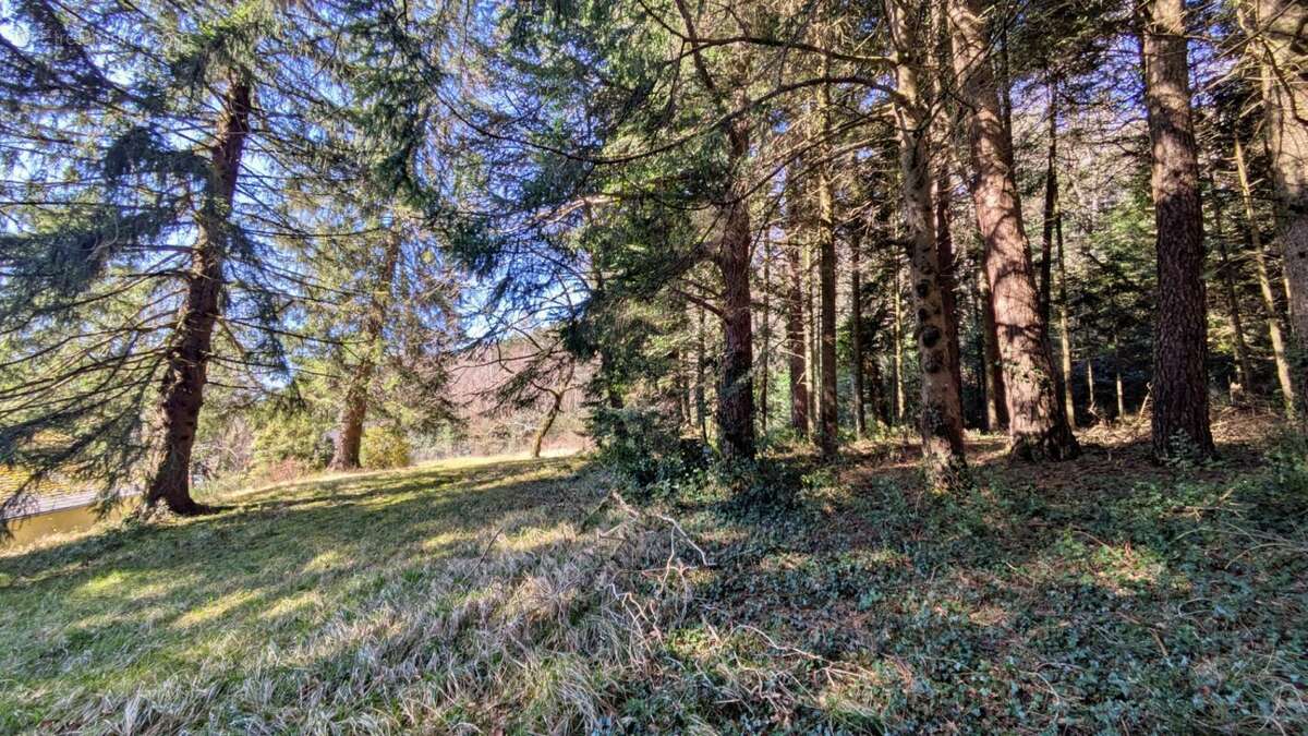 Maison à LACROUZETTE