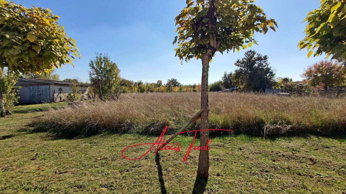 Maison à AMBARES-ET-LAGRAVE