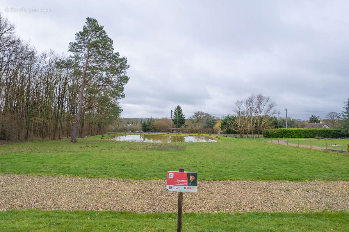 Terrain constructible - Thenioux, avec un étang - 4322 m²  - - photo 8