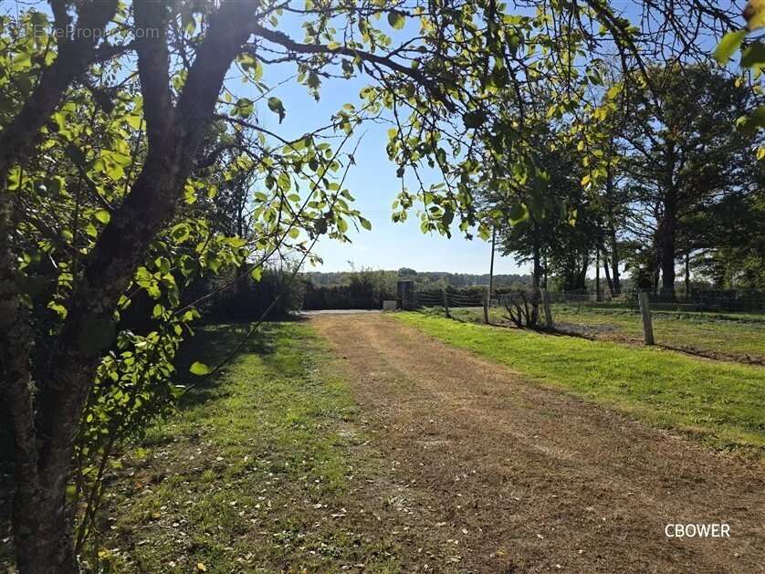 Maison à SAINT-BARBANT