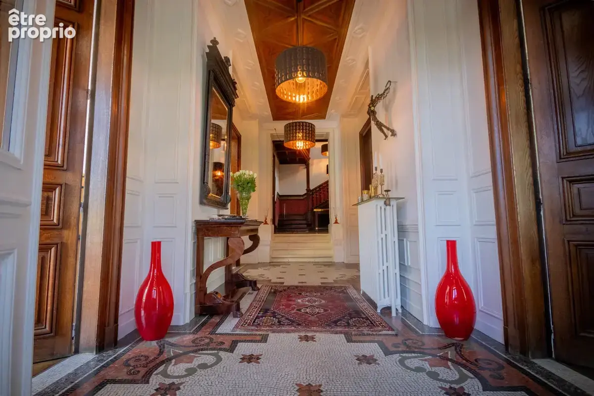 Axe Saint-Dié / Nancy - Maison de maître de caractère 332m2 - photo 4