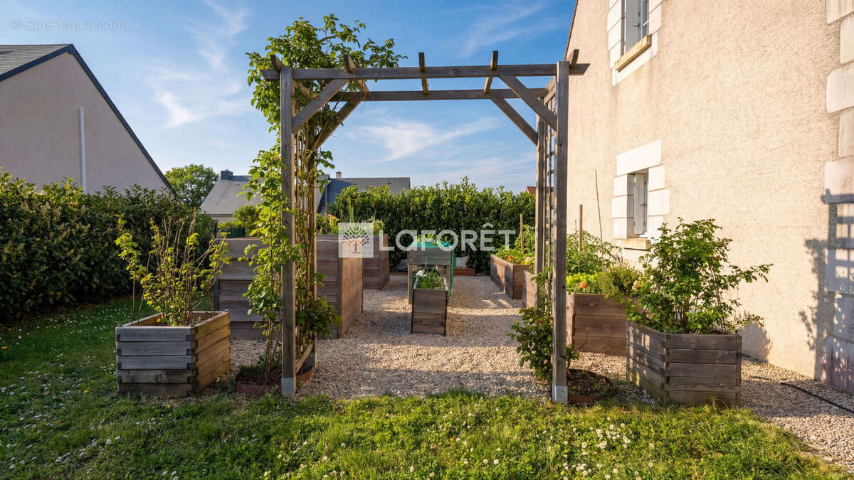 Maison à SAINT-AVERTIN