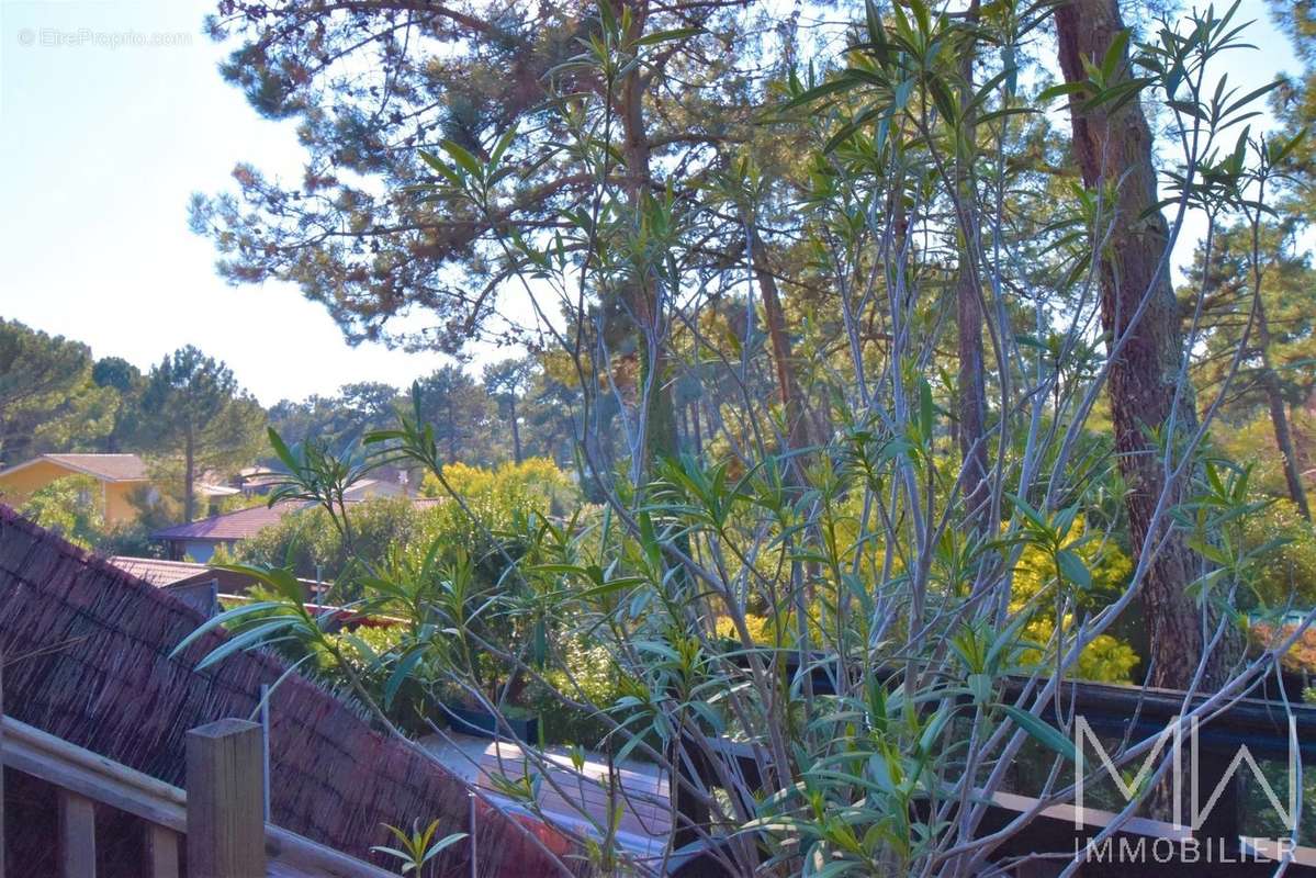 Maison à LEGE-CAP-FERRET