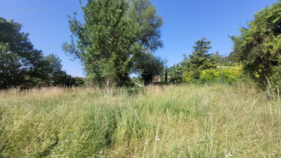 Terrain à AOUSTE-SUR-SYE