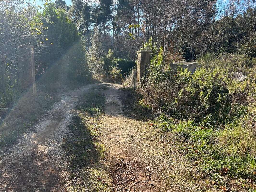 Photo 7 - Terrain à SAINTE-CECILE-D&#039;ANDORGE