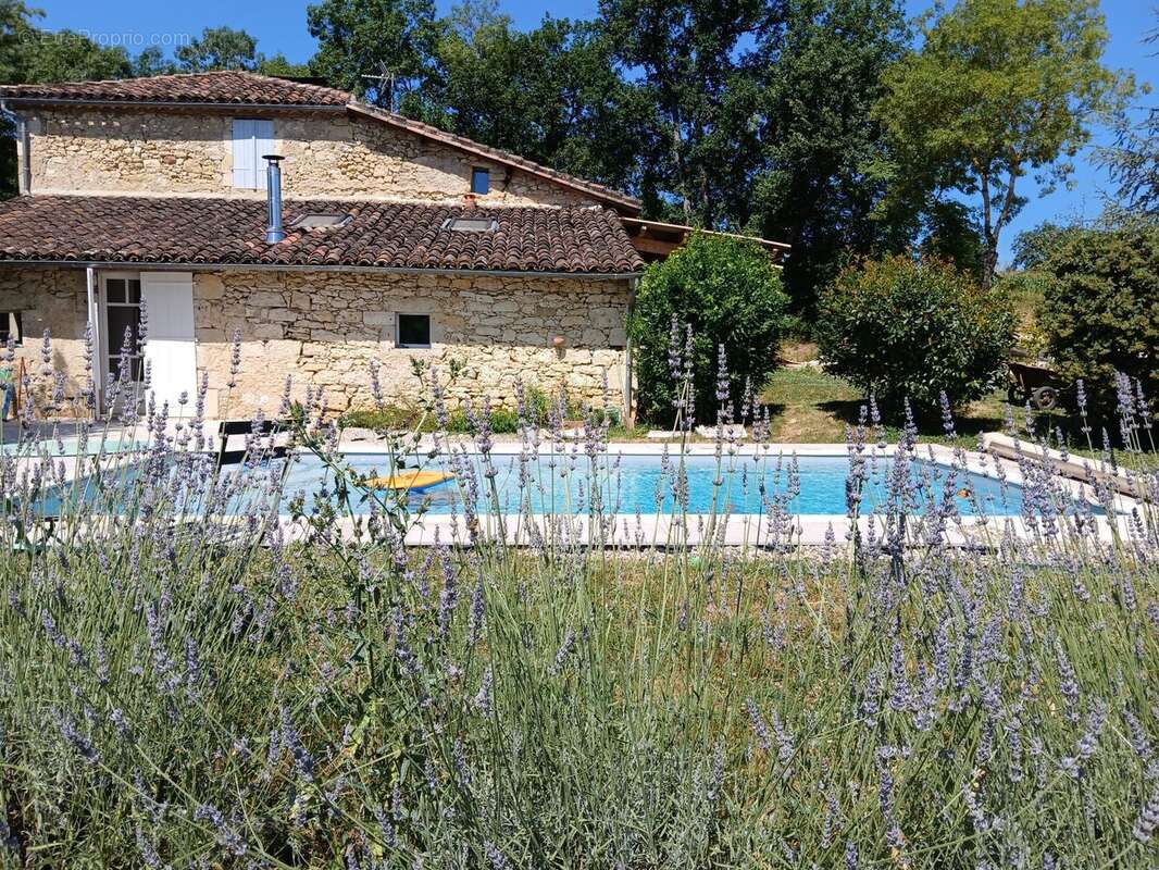 Maison 211 m² à Jegun  - photo 2