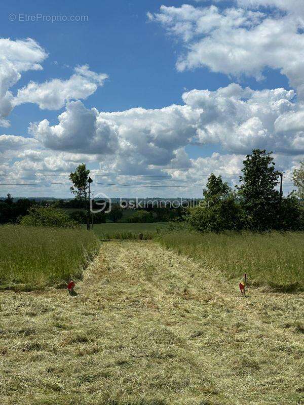 Terrain à ESCALQUENS