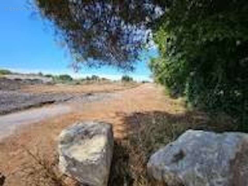 Terrain 800 m² à Fos-Sur-Mer  - photo 4
