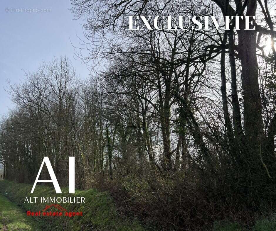 Terrain à LA LANDE-DE-LOUGE