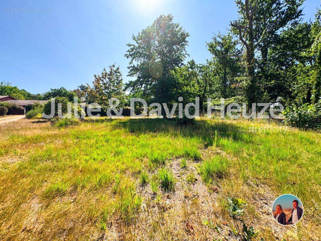 Terrain 900 m² à Lacanau  - photo 2