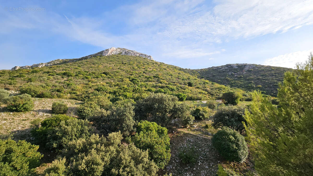 Appartement à MARSEILLE-11E