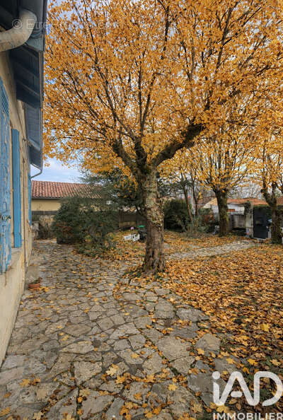 Photo 5 - Maison à PESSAC