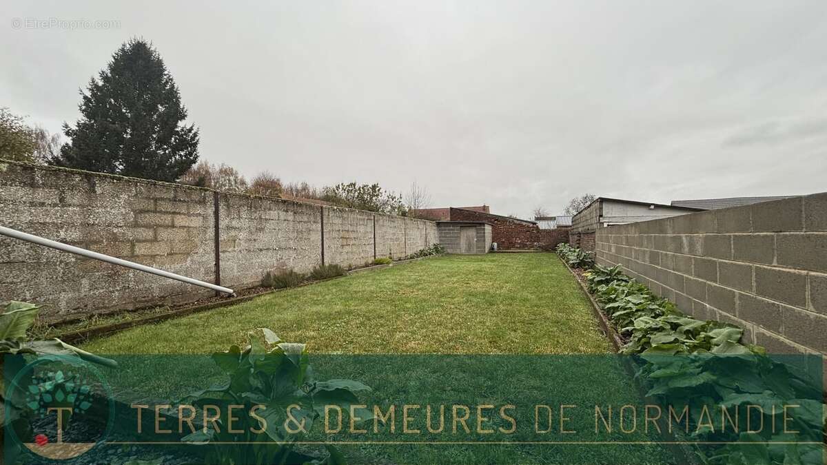 Commerce à FRIVILLE-ESCARBOTIN