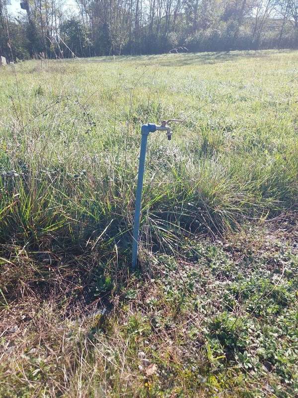 20241024114138 - Terrain à SALIES-DU-SALAT