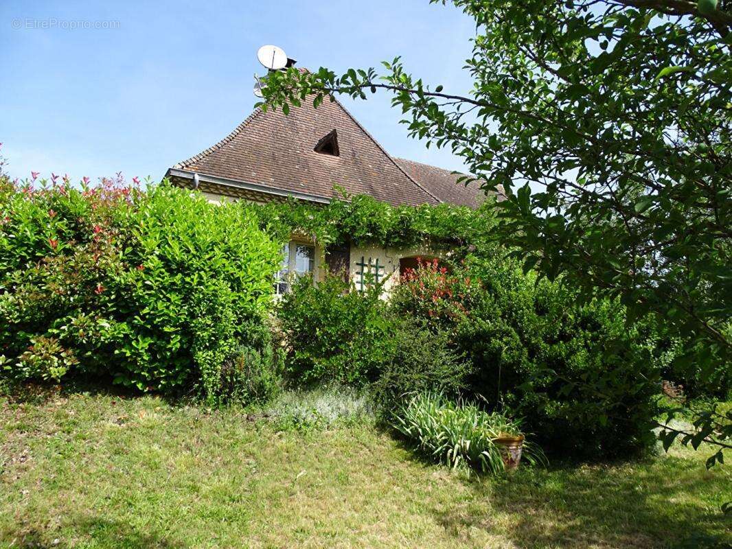 Maison Thonac 6 pièce(s) 136 m2 - photo 4