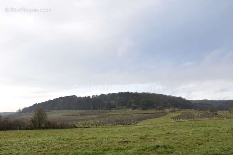 Maison à NUITS-SAINT-GEORGES