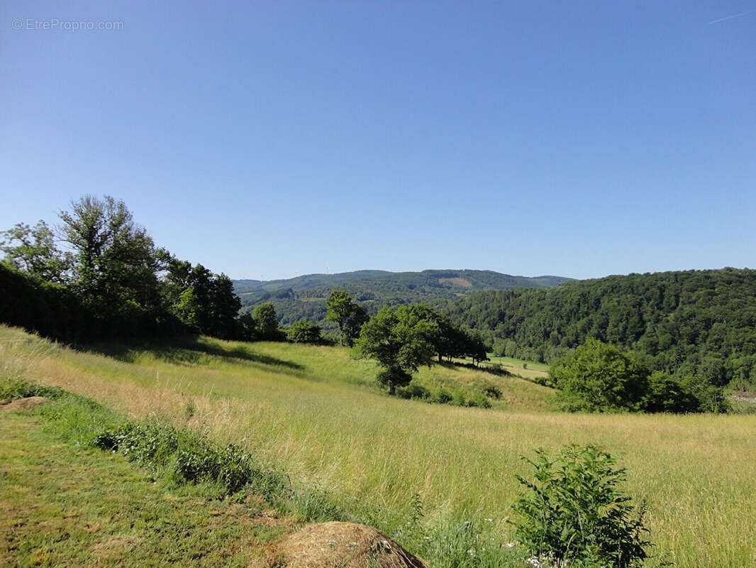 Maison à SAINT-CLEMENT