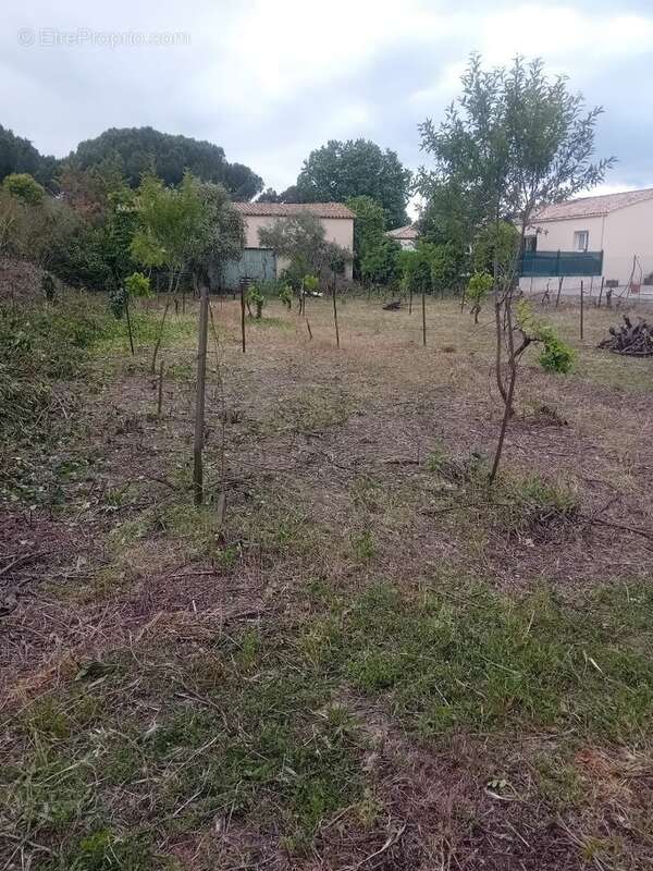 Terrain à BEZIERS