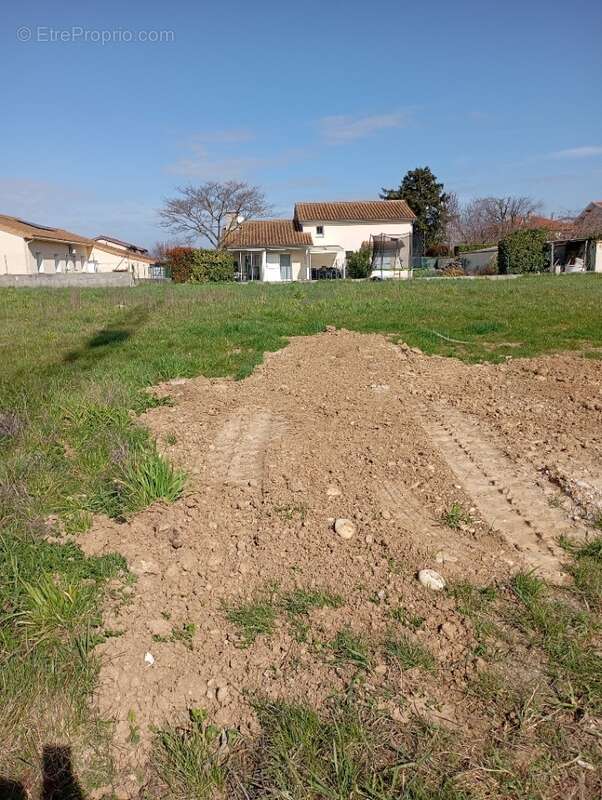 Terrain à ALBON