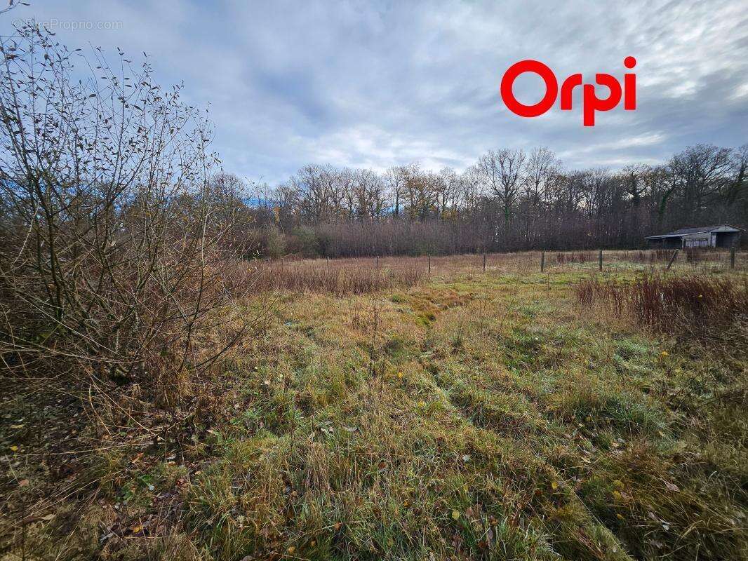 Terrain à BERNAY