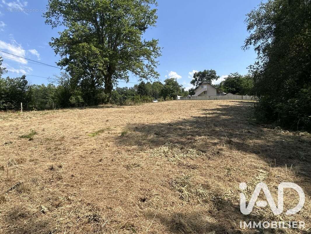 Terrain 2529 m² à Buziet  - photo 4