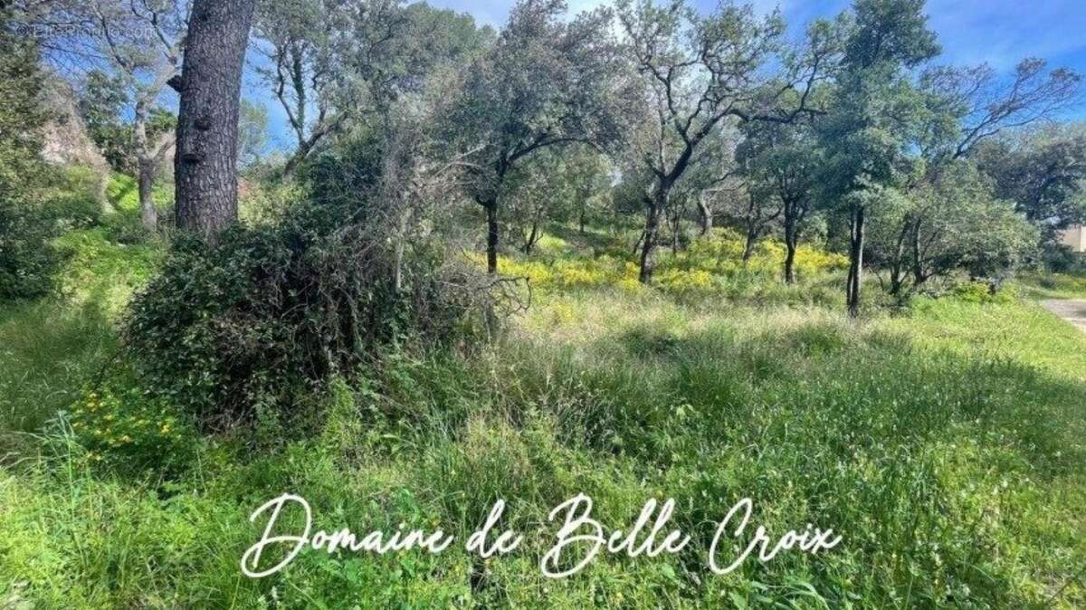 Photo 2 - Terrain à VILLENEUVE-LES-AVIGNON