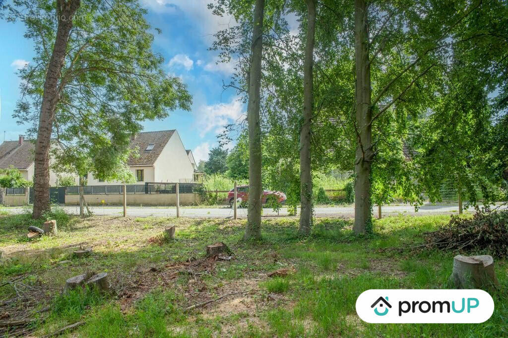 Terrain à NEUILLY-SAINT-FRONT