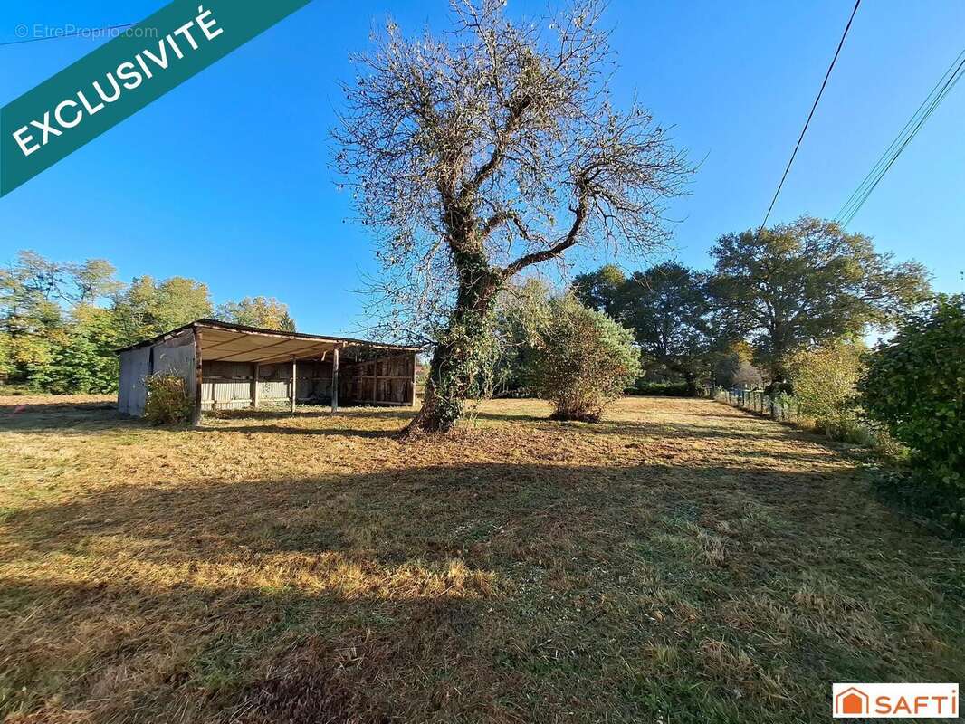 Photo 3 - Maison à NAVARRENX