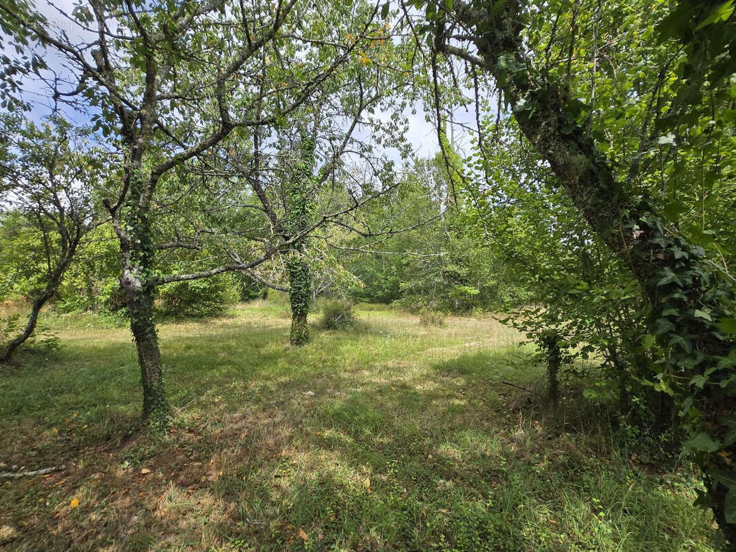 Maison à LAVEYSSIERE