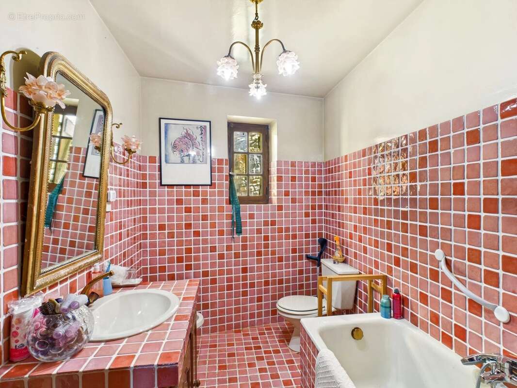 Maison à CORDES-SUR-CIEL