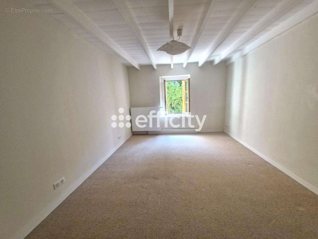 Maison 257 m² à Vernioz  - photo 10
