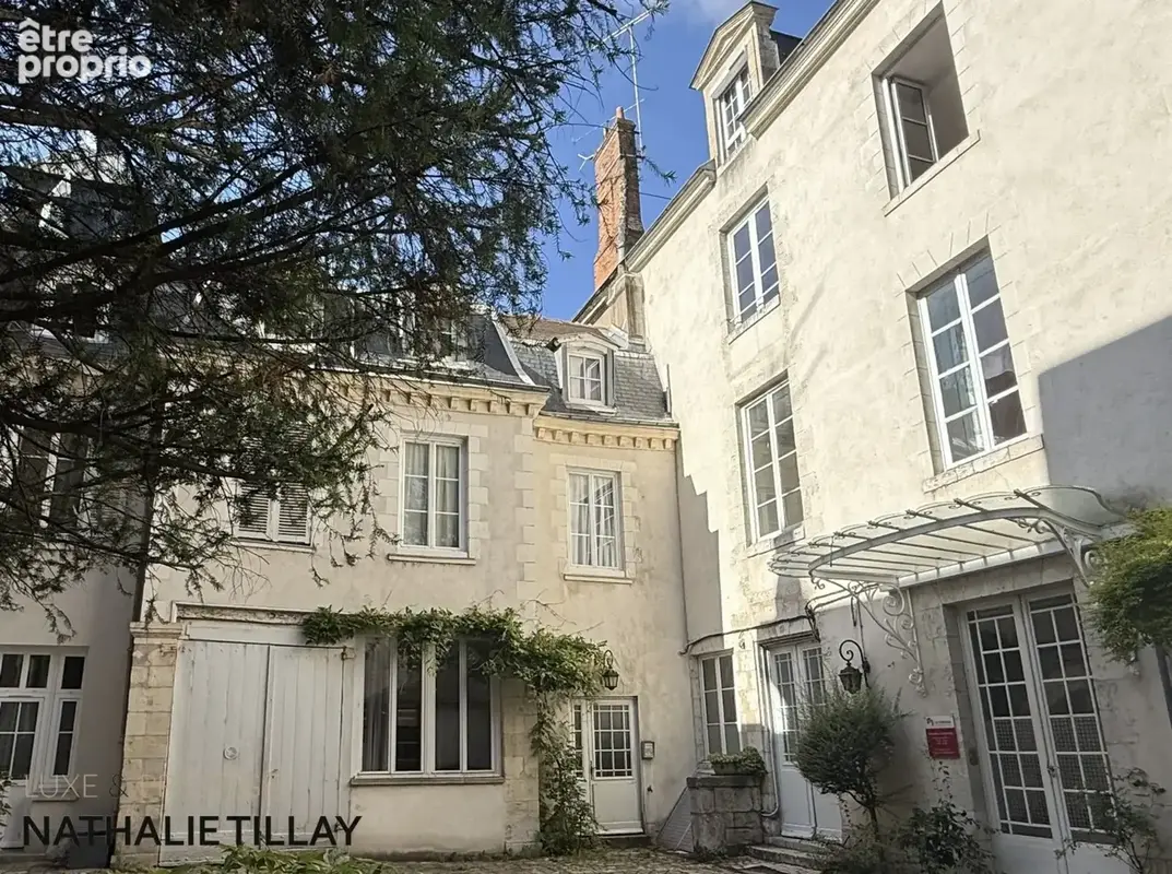 Appartement esprit loft, a vendre, Face Loire Orleans, dernier etage en hotel particulier - photo 2