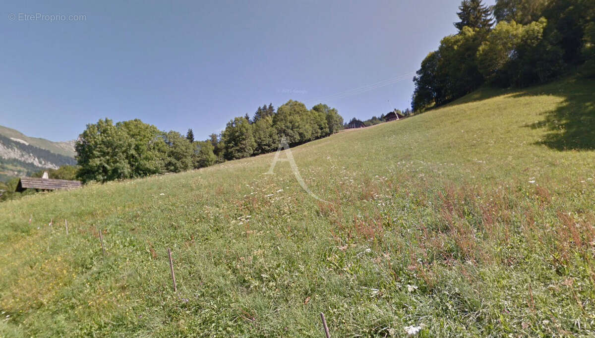 Terrain Le Grand Bornand - photo 6