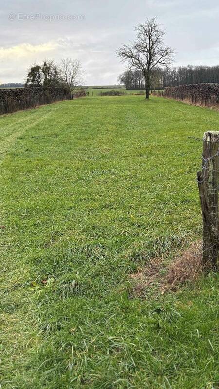 Terrain à RADONVILLIERS